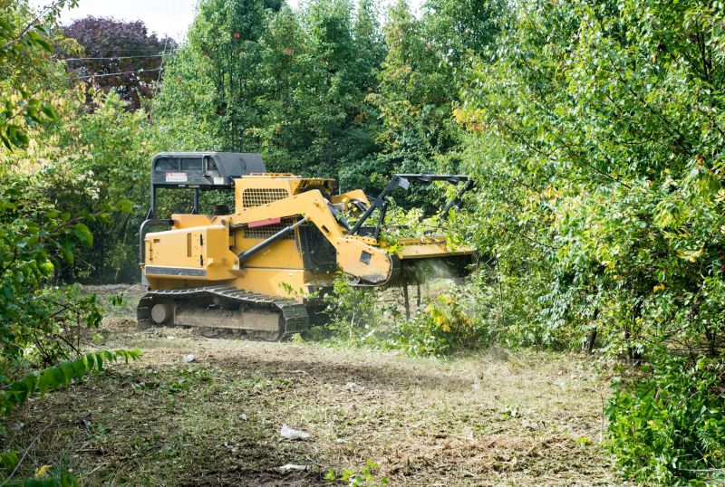 Butterfly Bush Removal