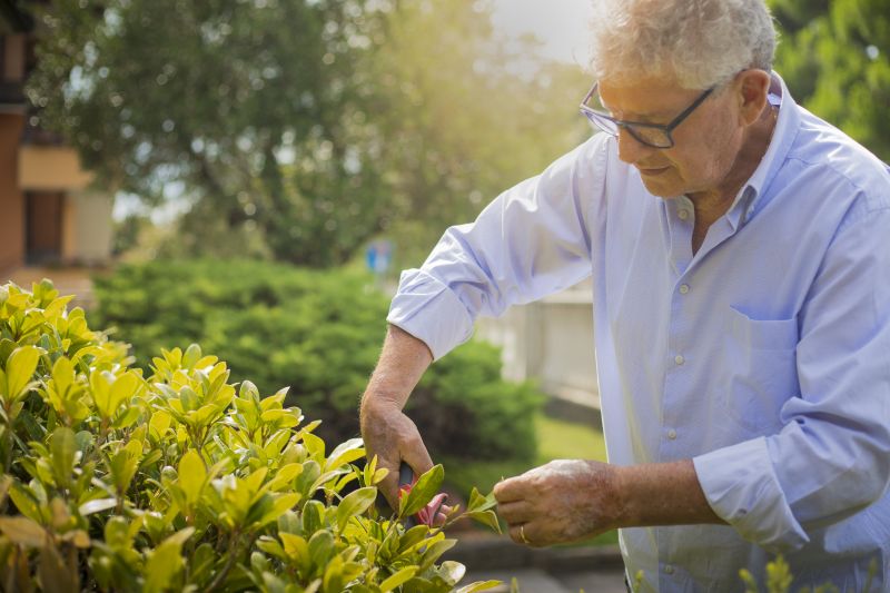 Bush Pruning
