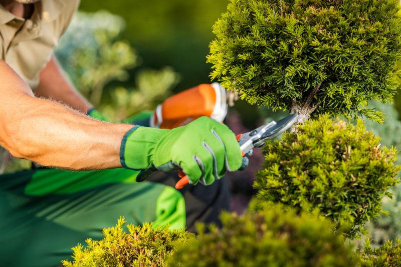 Bush Pruning