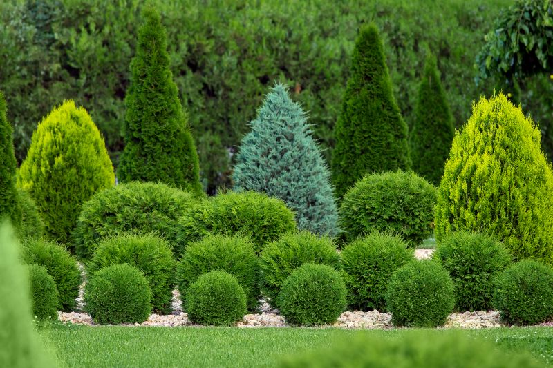 Bush Shaping Service