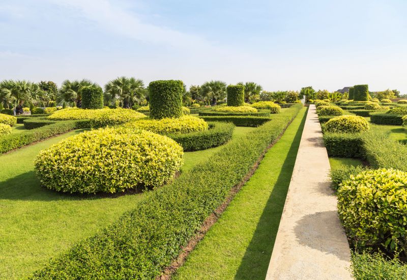 Bush Shaping Service