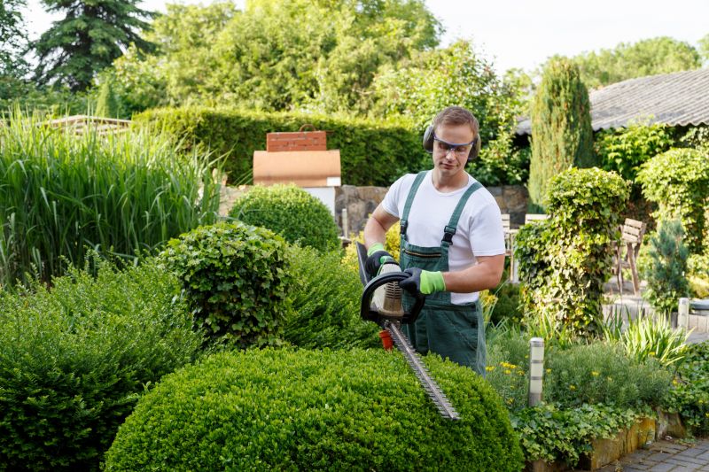 Bush Shaping Service