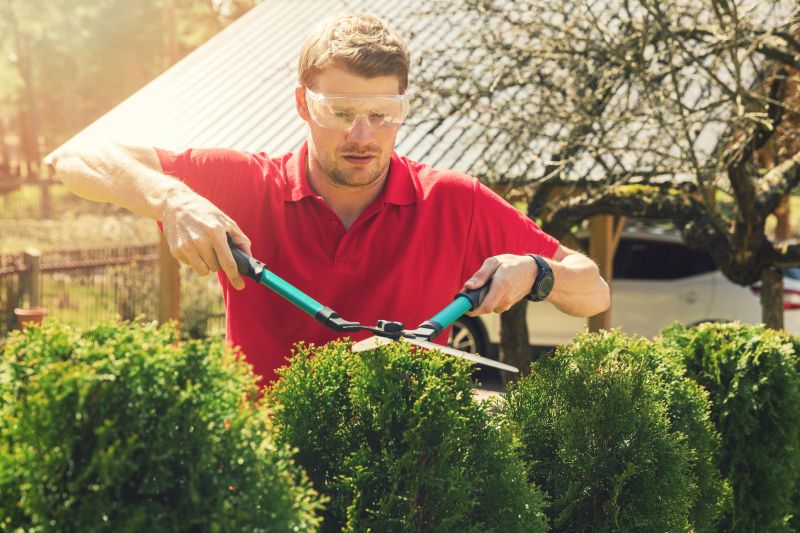 Bush Shaping Service