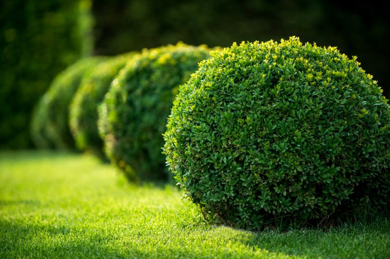 Bush Shaping Service