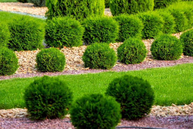Bush Shaping Service