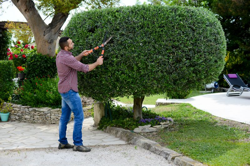 Bush Shaping Service