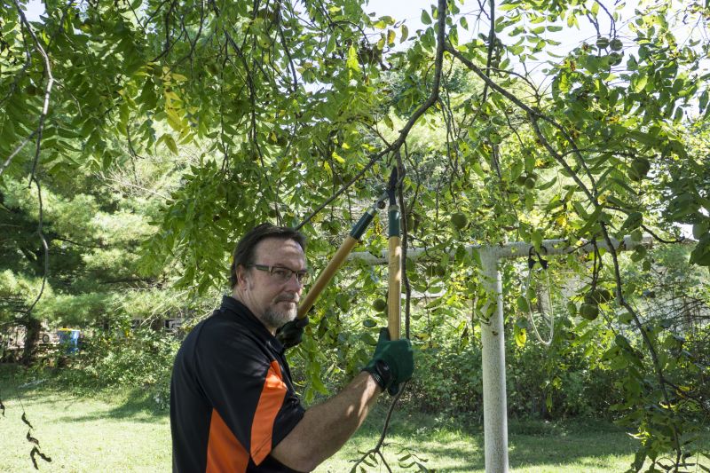 Bush Pruning
