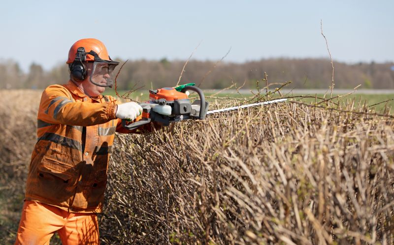 Hedge Pruning