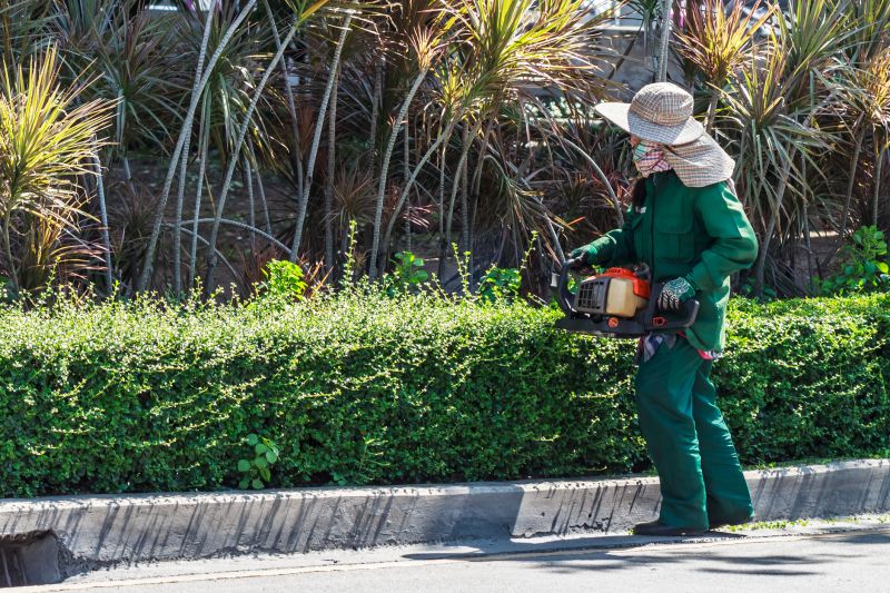 Hedge Pruning