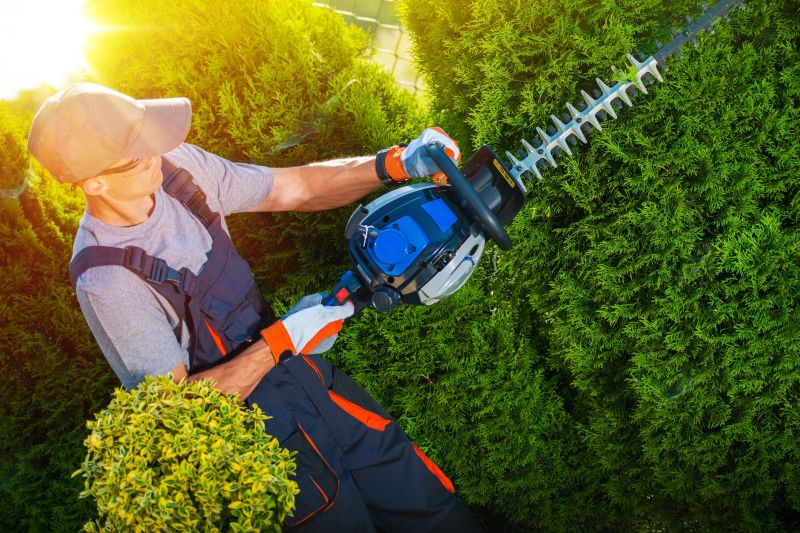 Hedge Trimming