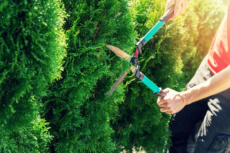 Hedge Pruning