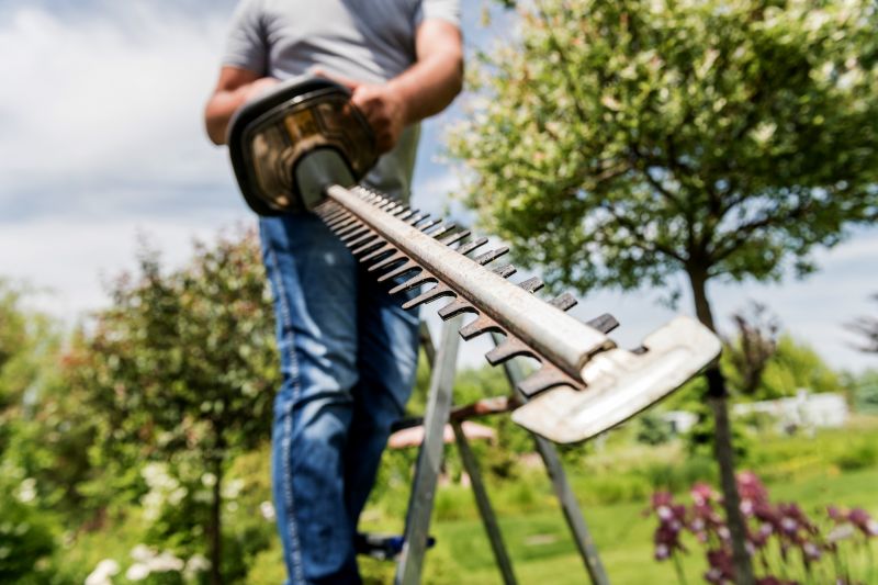 Hedge Pruning