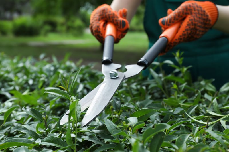 Hedge Pruning