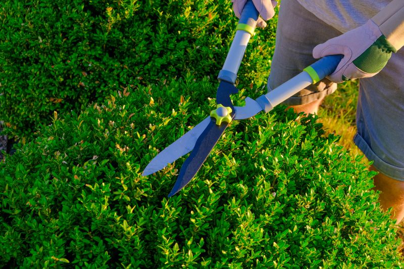 Hedge Pruning