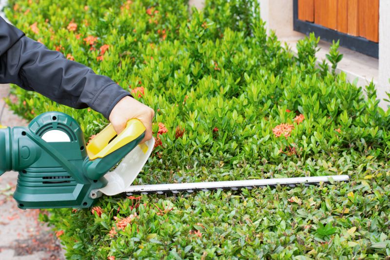 Hedge Trimming