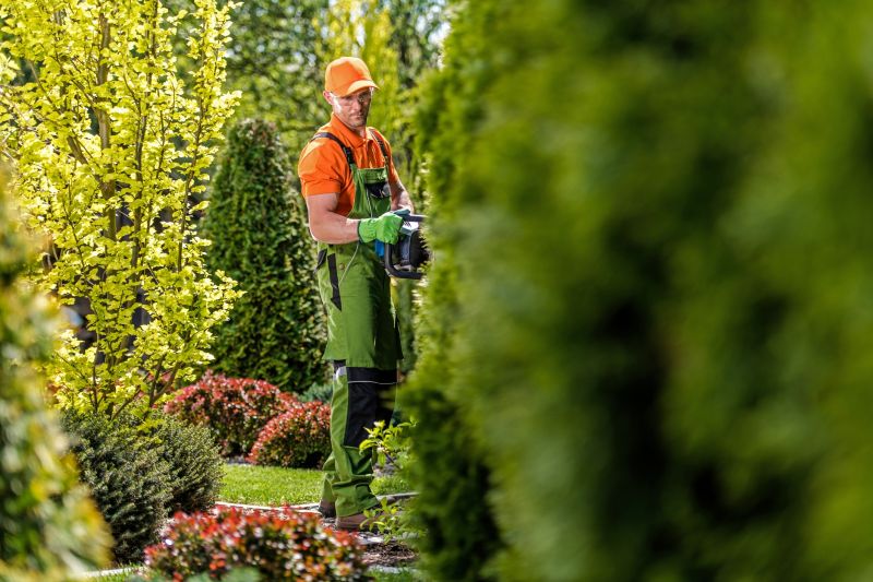 Hedge Trimming