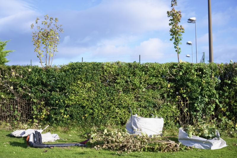 Hedge Trimming
