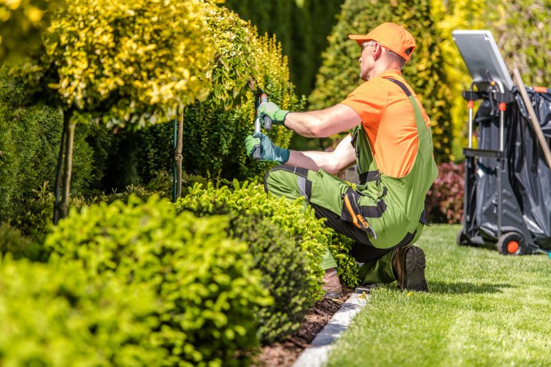 Hedge Trimming