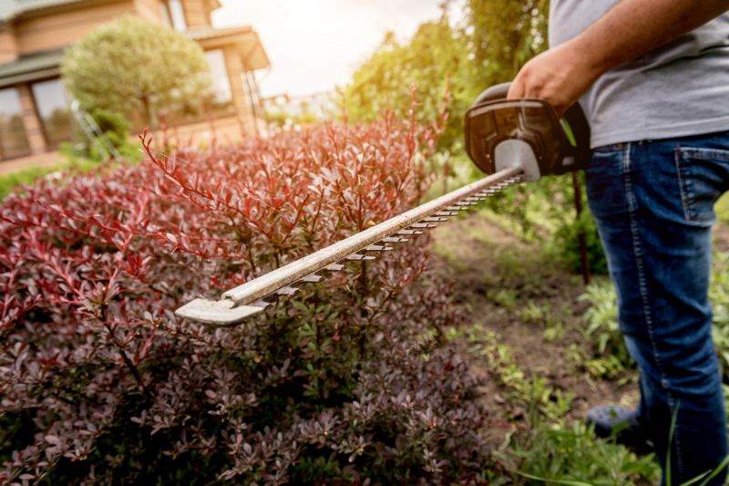 Hedge Trimming