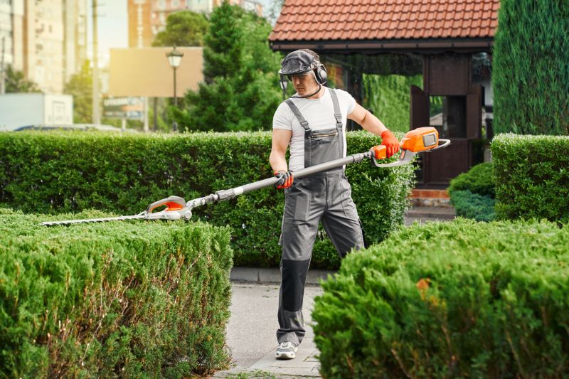 Hedge Trimming