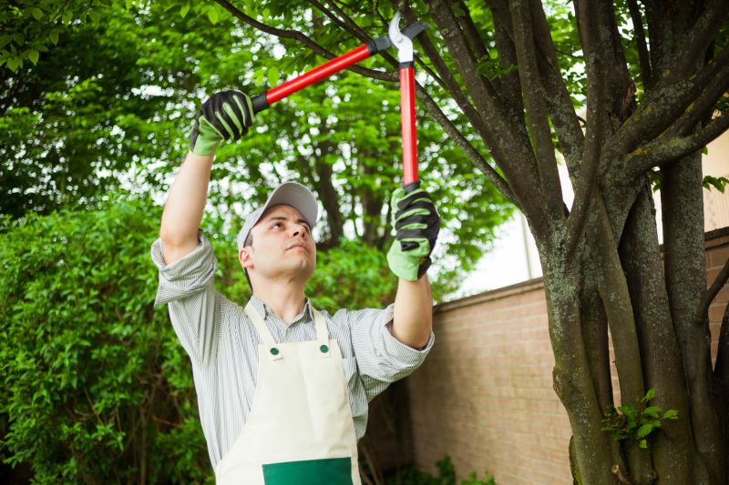 Shrub Pruning