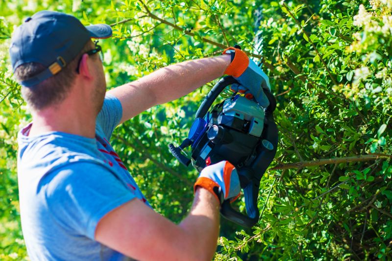 Shrub Pruning