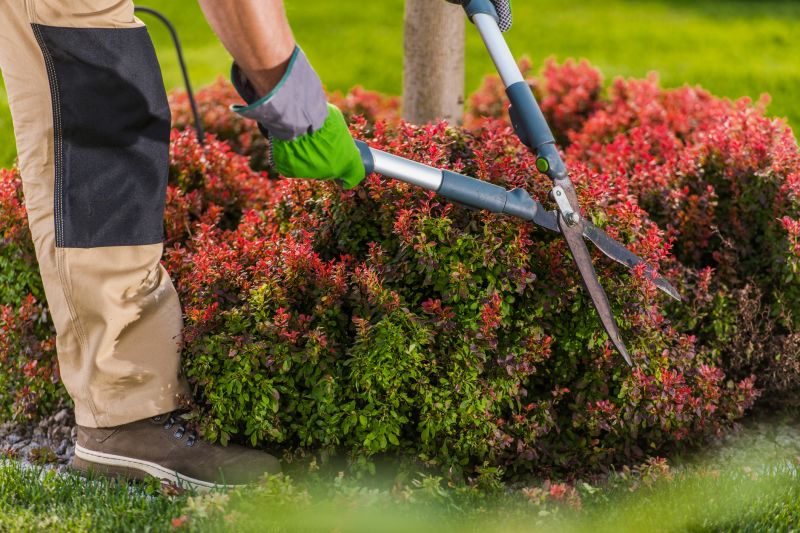 Shrub Pruning