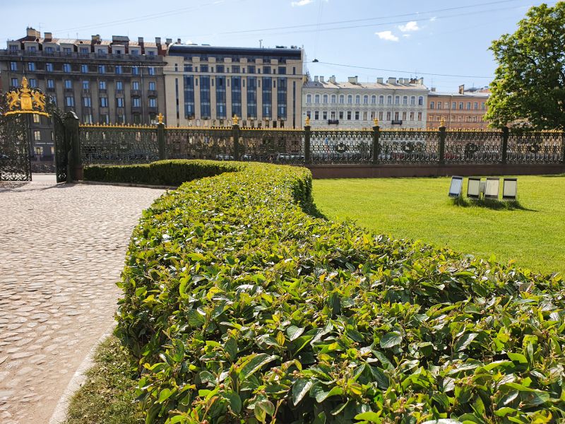 Shrub Shaping