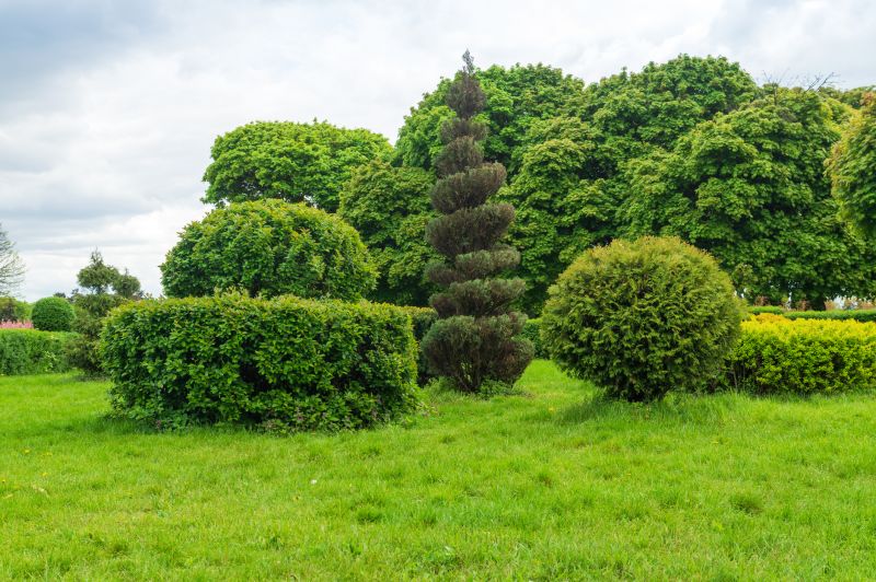Shrub Shaping