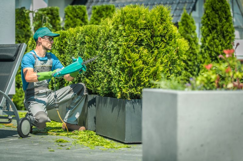 Shrub Shaping
