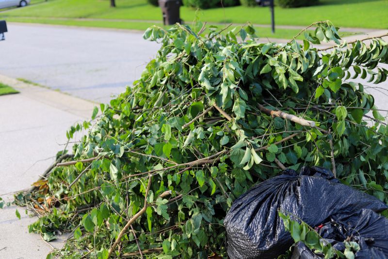 Shrubs Removal