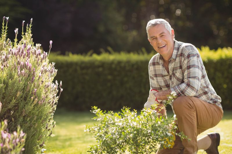 Shrubs Removal