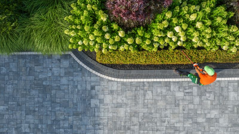 Shrubs Removal