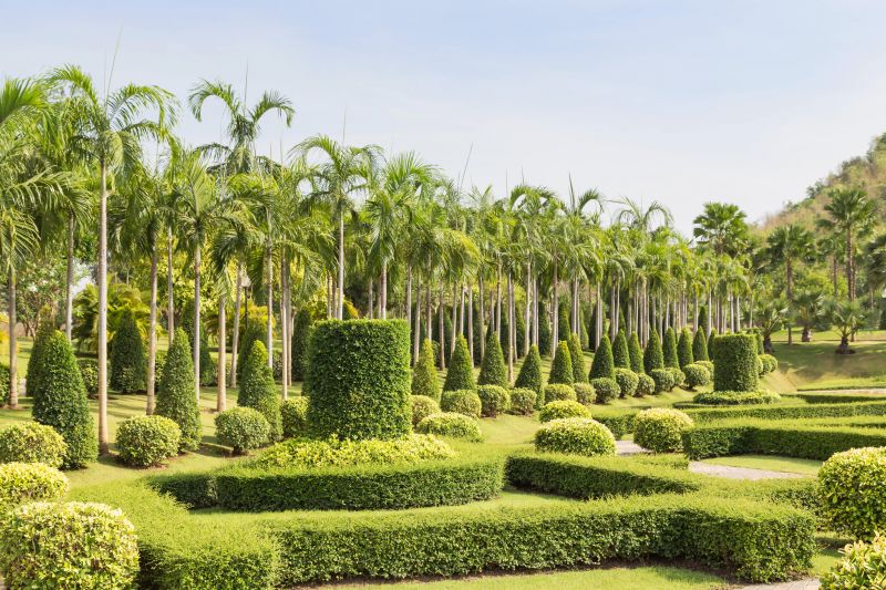 Shrubs Trimming