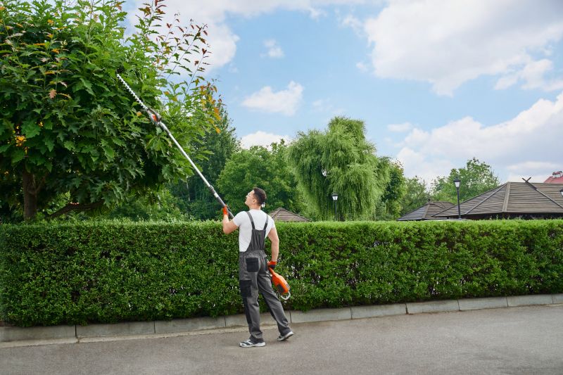 Shrubs Trimming