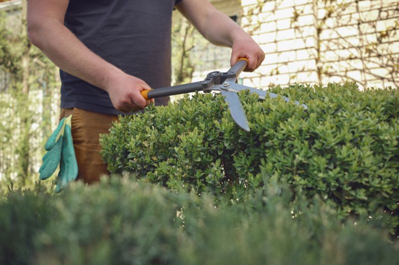 Shrubs Trimming