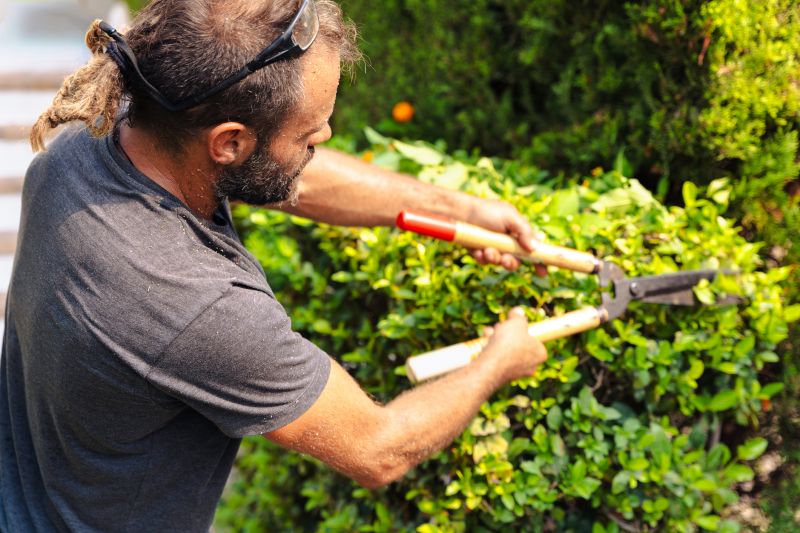 Shrubs Trimming