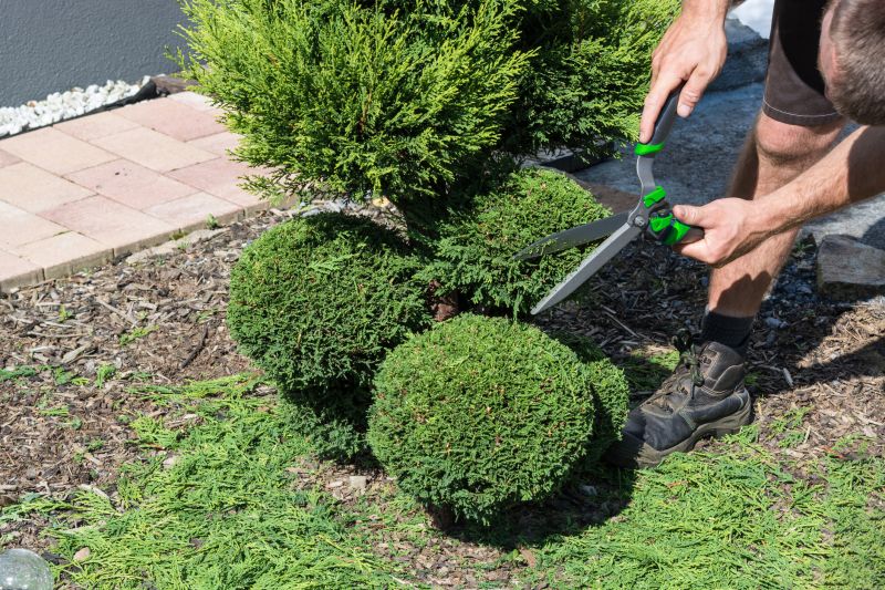 Shrubs Trimming
