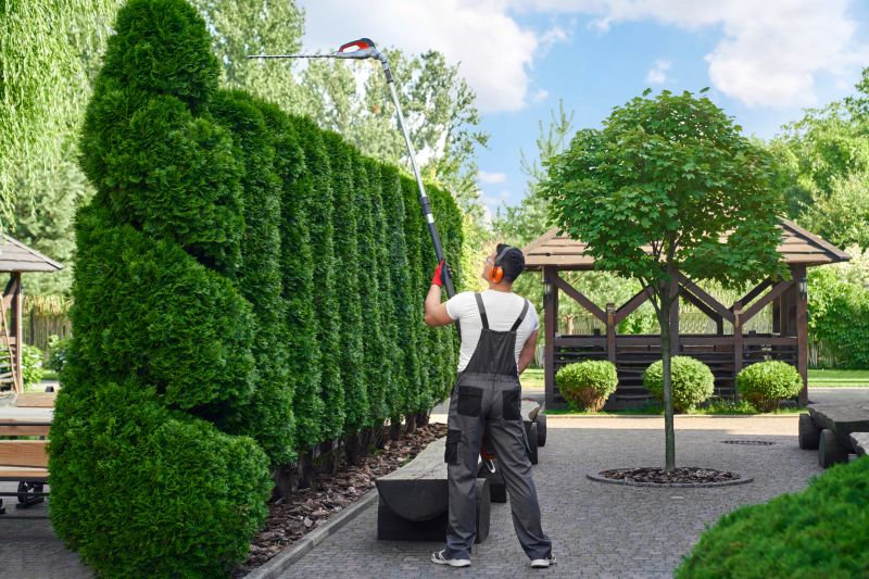 Shrubs Trimming