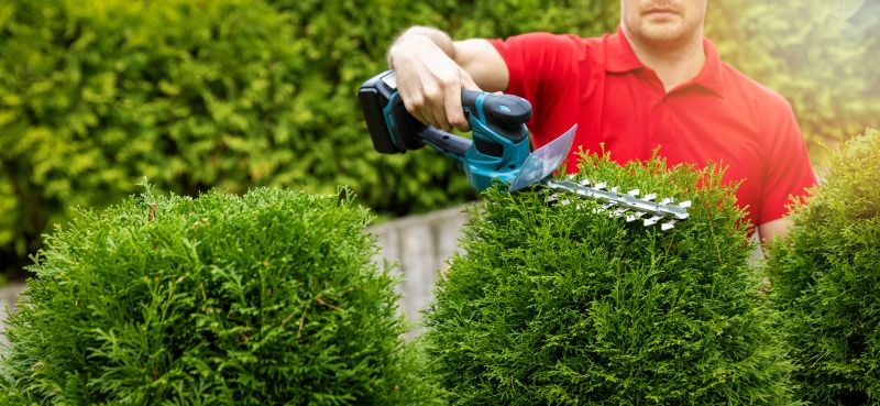 Shrubs Trimming